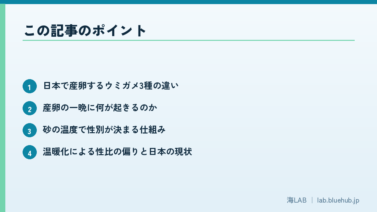 以要点形式汇总本文重点的图版