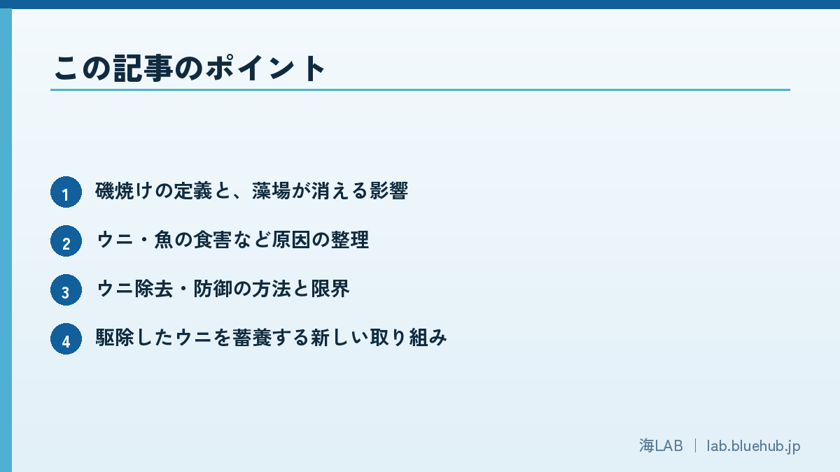 この記事のポイントを箇条書きでまとめた図版