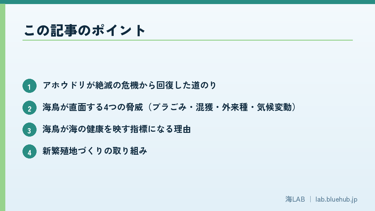 この記事のポイントを箇条書きでまとめた図版