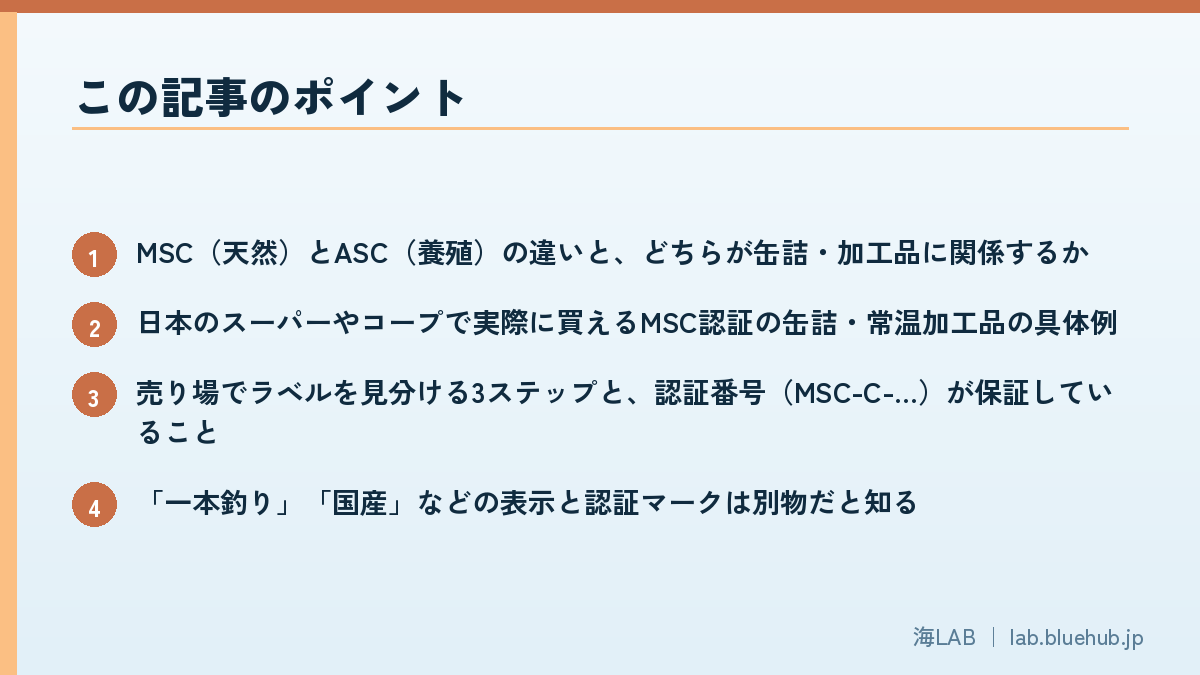 この記事のポイントを箇条書きでまとめた図版