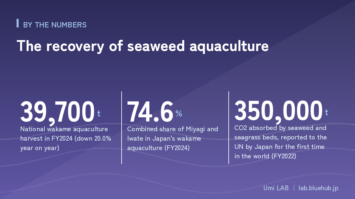 Chart summarising the three key figures on The recovery of seaweed aquaculture