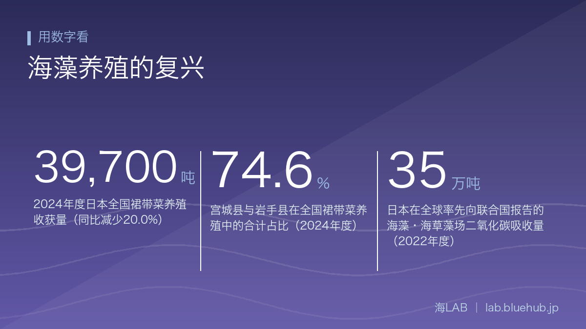 汇总海藻养殖的复兴三个关键数字的图示