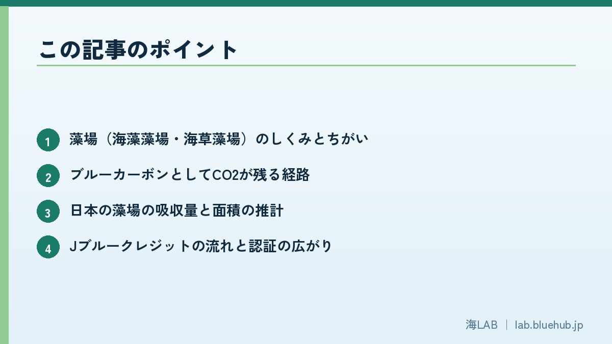 この記事のポイントを箇条書きでまとめた図版