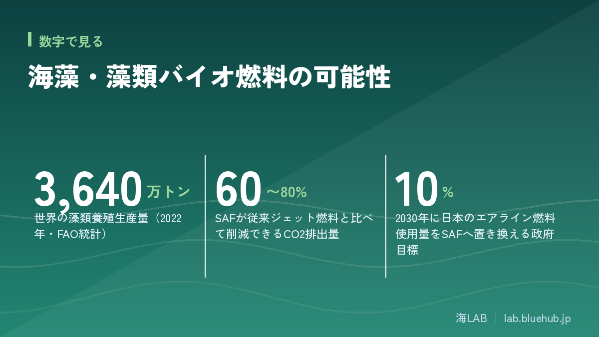 汇总本文三个关键数字的图版