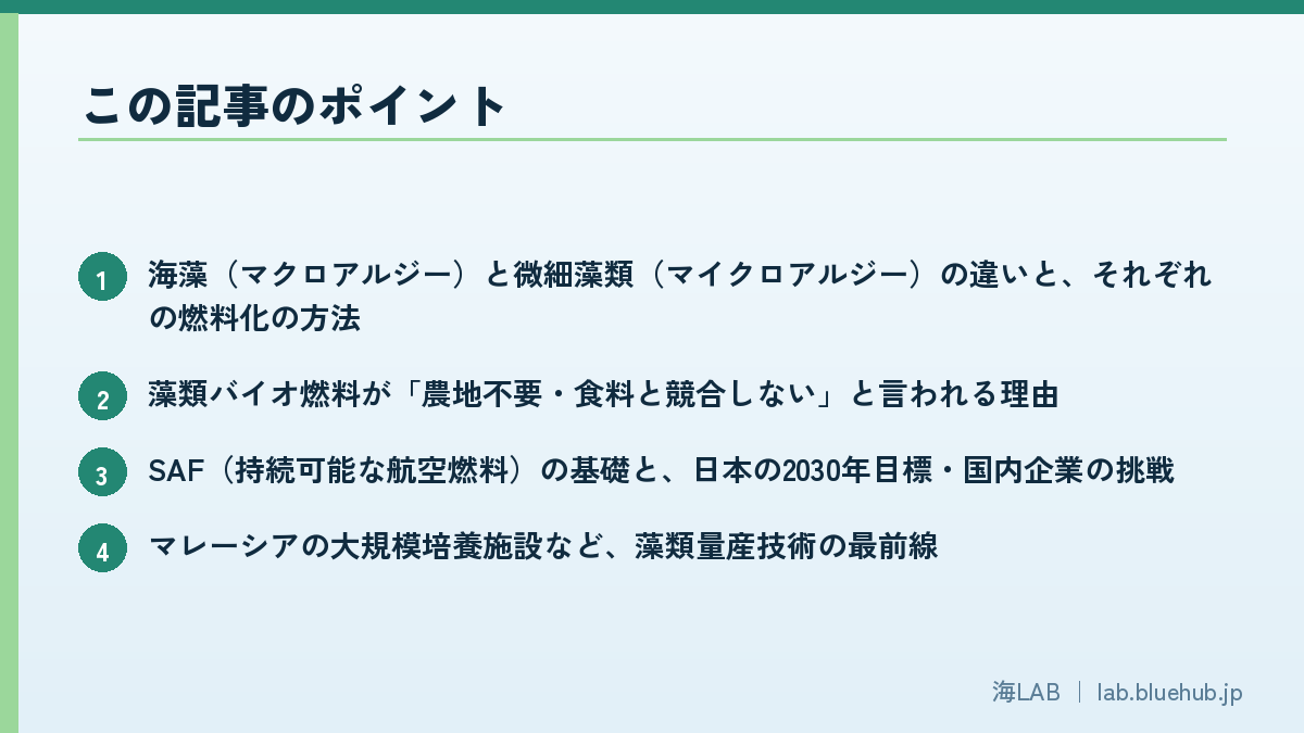 以要点清单形式汇总本文重点的图版