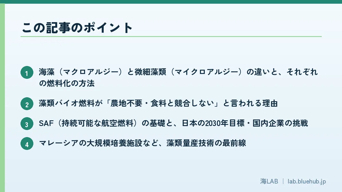 この記事のポイントを箇条書きでまとめた図版