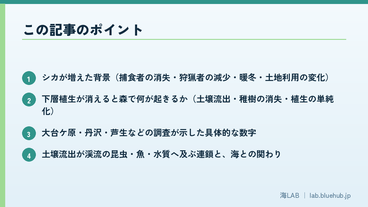 この記事のポイントを箇条書きでまとめた図版