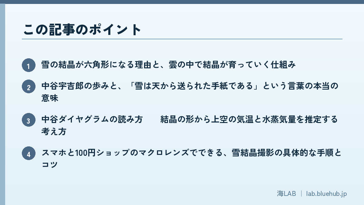 この記事のポイントを箇条書きでまとめた図版
