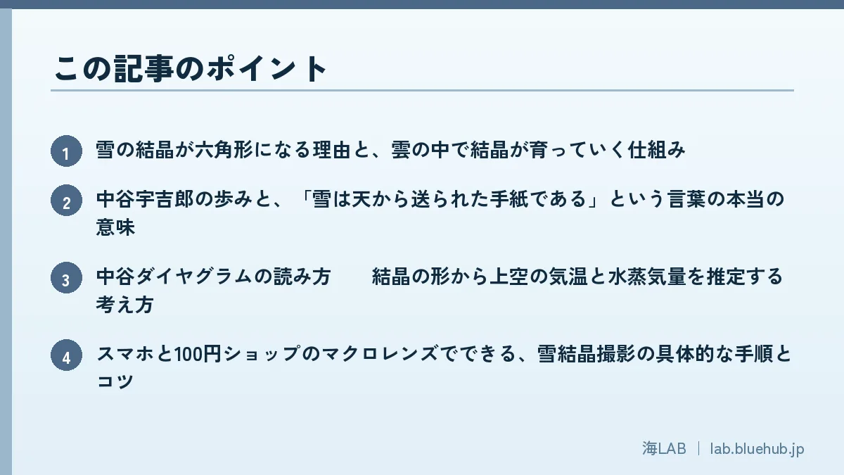 この記事のポイントを箇条書きでまとめた図版