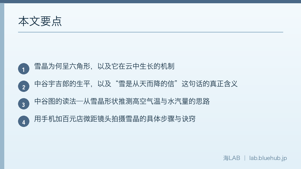 以要点形式汇总本文内容的图示