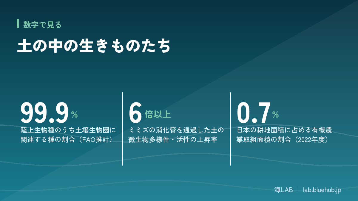 汇总本文所涉及三项关键数字的图版