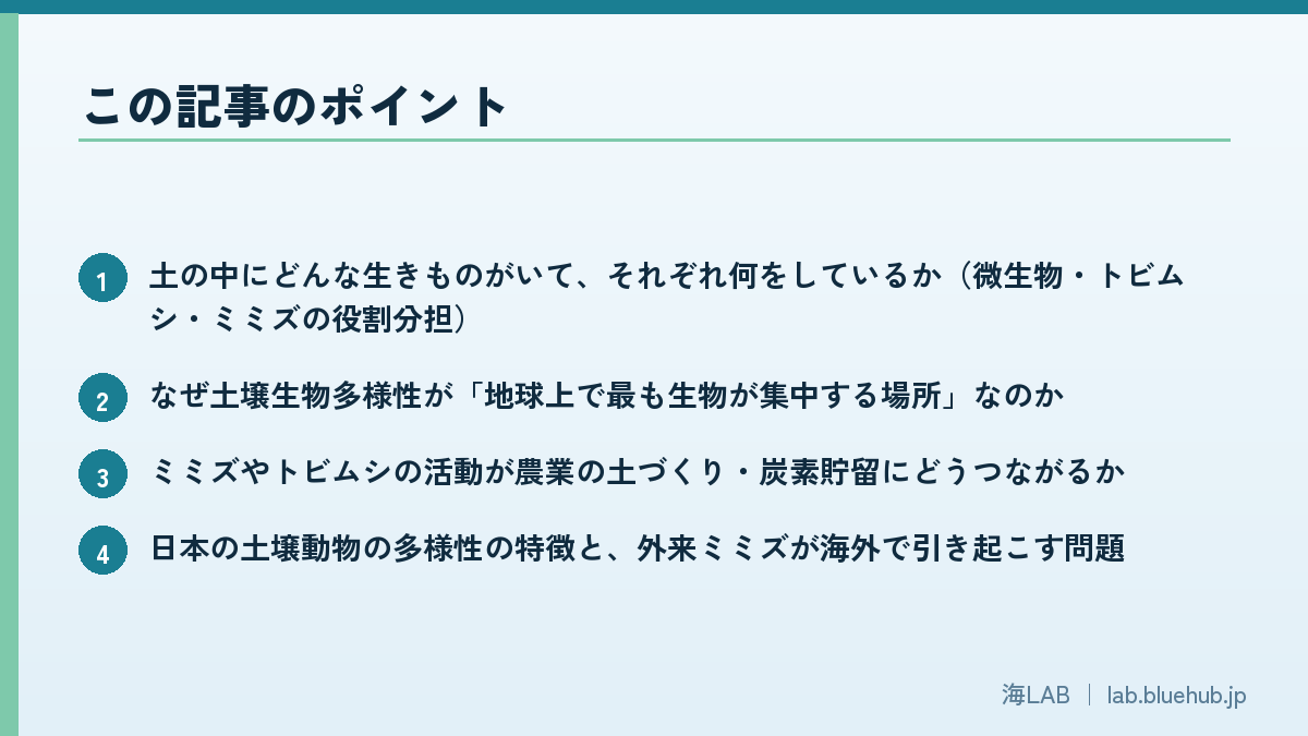 以要点列表形式汇总本文内容的图版