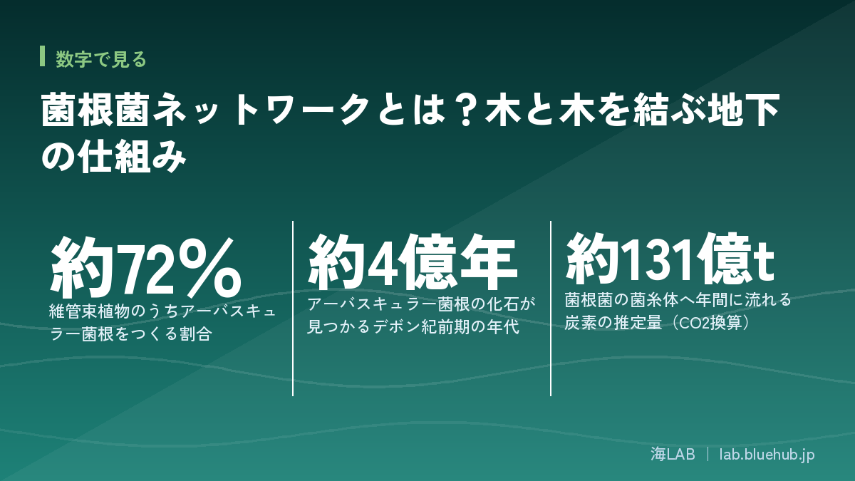 この記事の要点となる3つの数字をまとめた図版