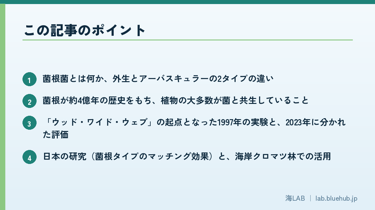この記事のポイントを箇条書きでまとめた図版