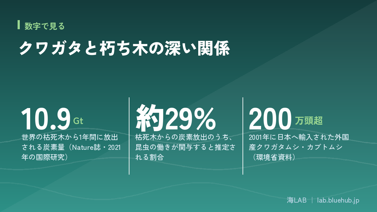 汇总本文三个关键数字的图版