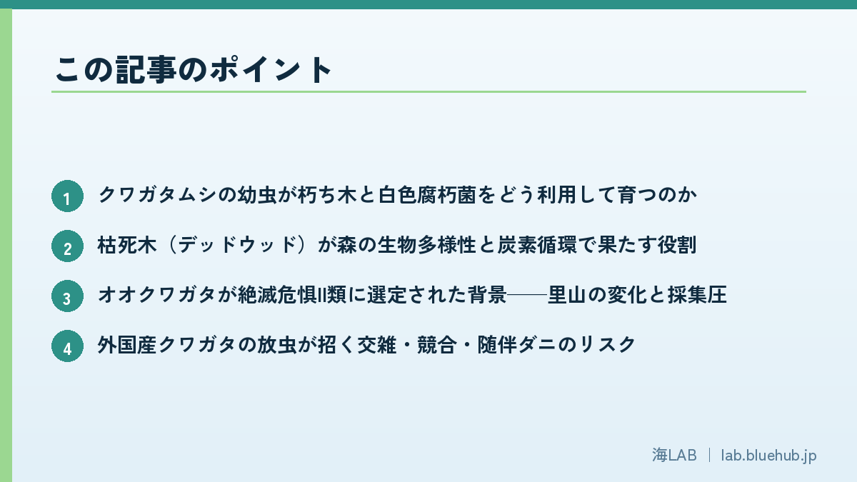 以要点形式汇总本文重点的图版