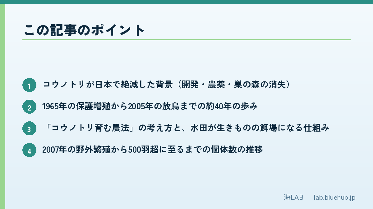 この記事のポイントを箇条書きでまとめた図版