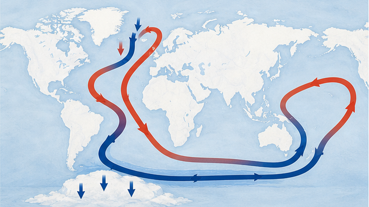 北大西洋と南極周辺で沈み込み、世界の海底を巡って太平洋・インド洋で湧昇する熱塩循環の模式図