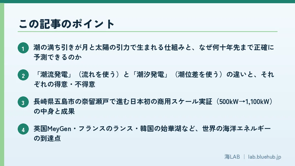 この記事のポイントを箇条書きでまとめた図版