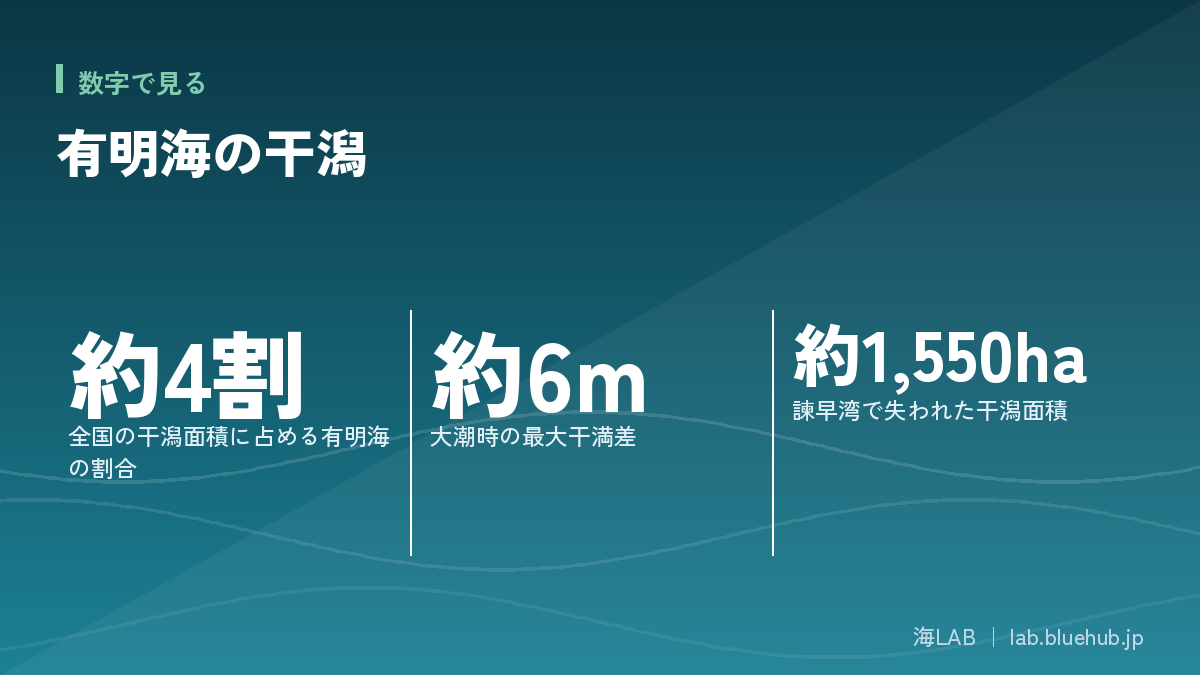 Figure summarizing three key numbers of this article