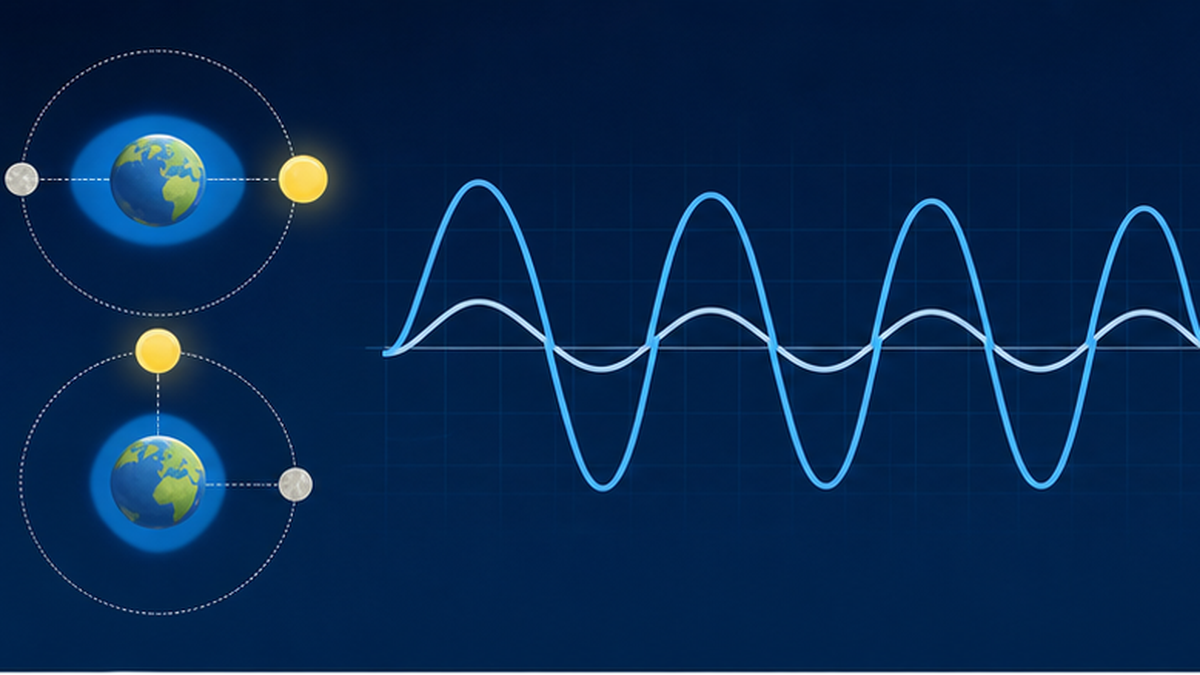 Diagram showing how the alignment of moon and sun produces spring and neap tides, alongside daily tide-level curves