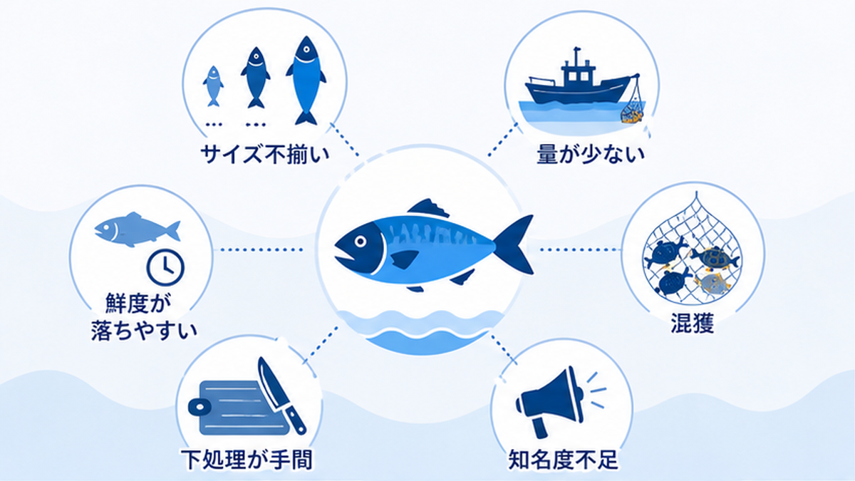未利用魚が生まれる主な理由を示すフラットデザインの図解