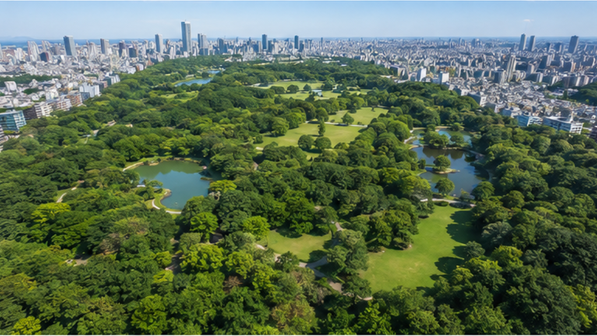 Aerial view of a large urban park showing vegetation density and terrain variation