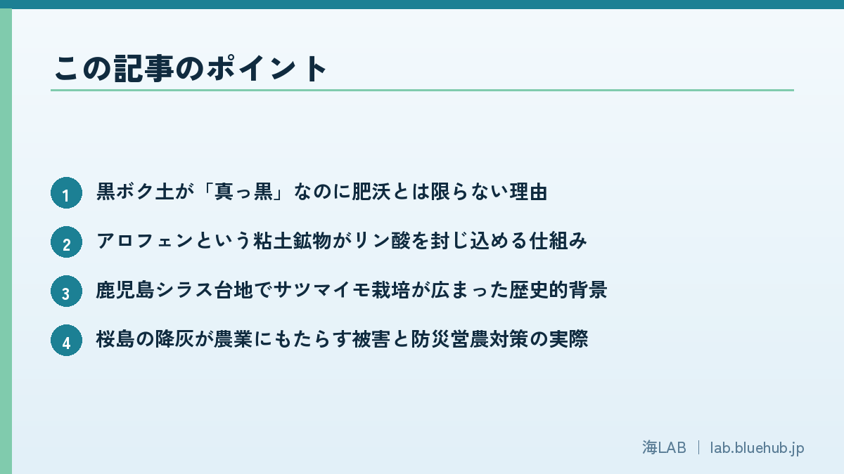 この記事のポイントを箇条書きでまとめた図版