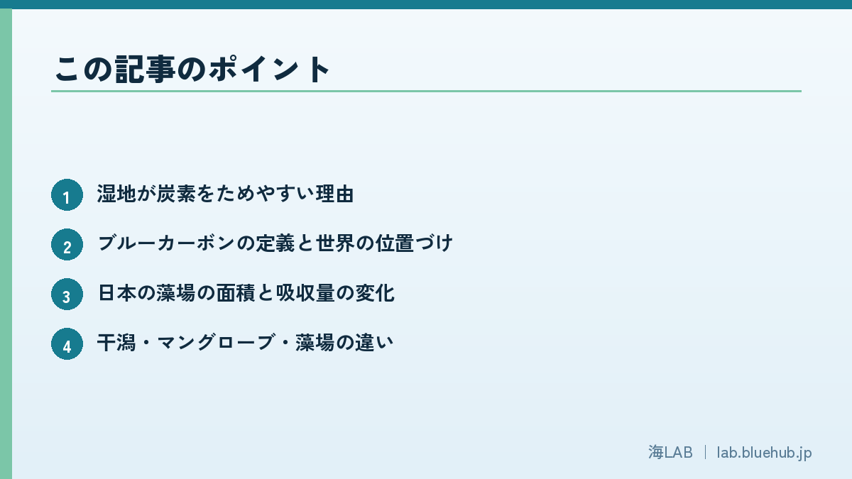 この記事のポイントを箇条書きでまとめた図版