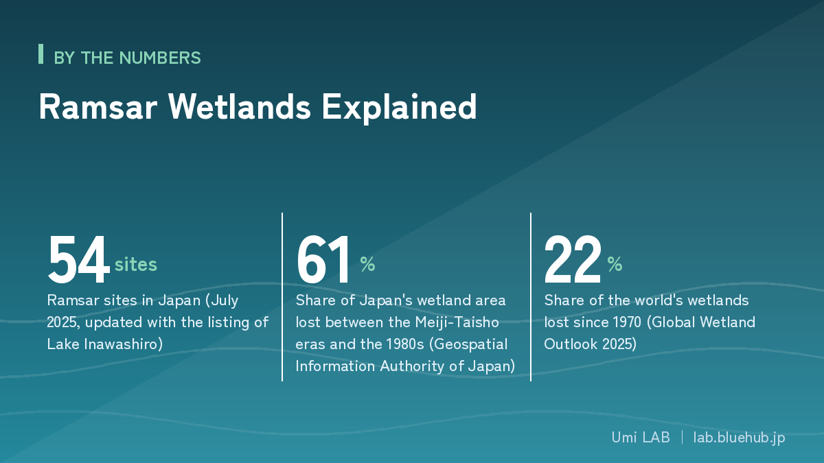 Chart summarising the three key figures on Ramsar Wetlands Explained
