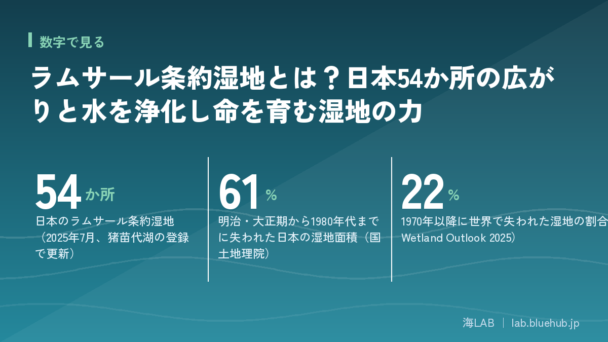 ラムサール条約湿地とは？日本54か所の広がりと水を浄化し命を育む湿地の力の要点となる3つの数字をまとめた図版
