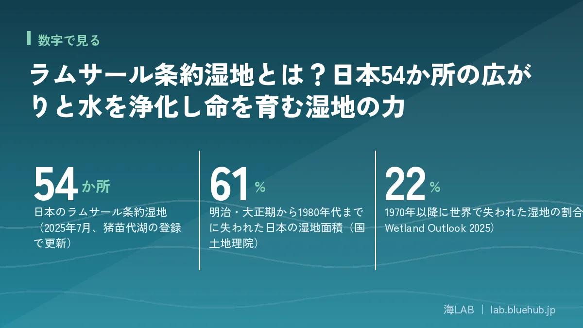 ラムサール条約湿地とは?日本54か所の広がりと水を浄化し命を育む湿地の力の要点となる3つの数字をまとめた図版