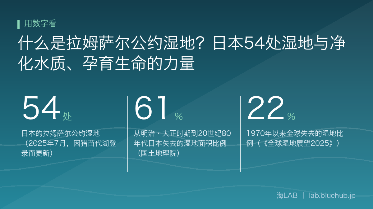 汇总什么是拉姆萨尔公约湿地?日本54处湿地与净化水质、孕育生命的力量三个关键数字的图示