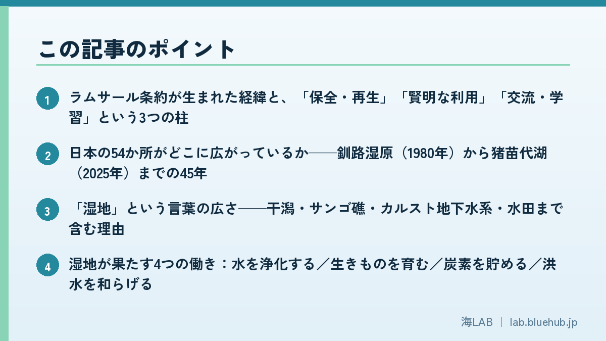 この記事のポイントを箇条書きでまとめた図版