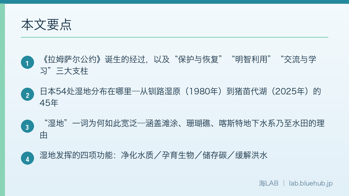 以要点形式汇总本文内容的图示