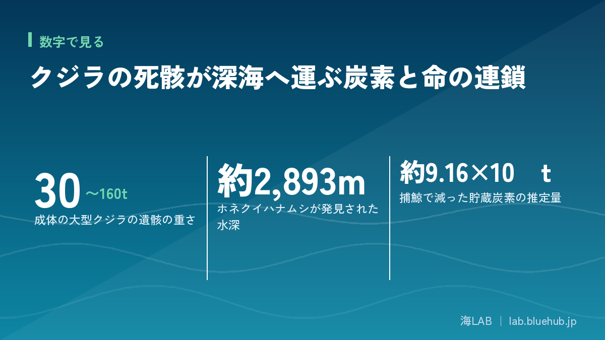 この記事の要点となる3つの数字をまとめた図版