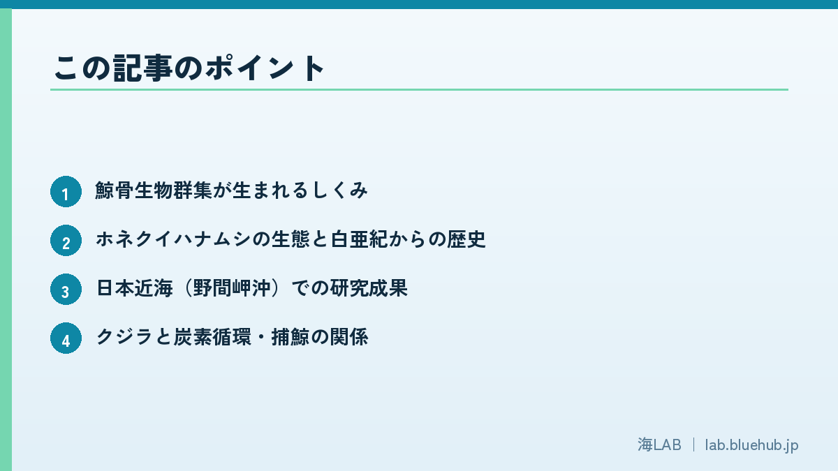 この記事のポイントを箇条書きでまとめた図版