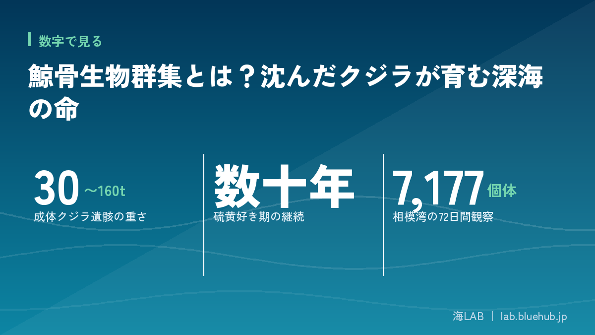 この記事の要点となる3つの数字をまとめた図版