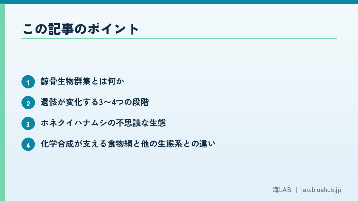 この記事のポイントを箇条書きでまとめた図版
