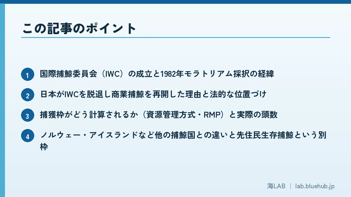 この記事のポイントを箇条書きでまとめた図版