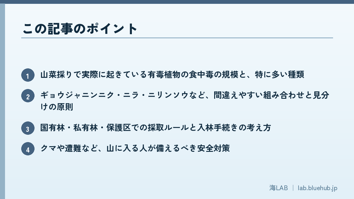 この記事のポイントを箇条書きでまとめた図版