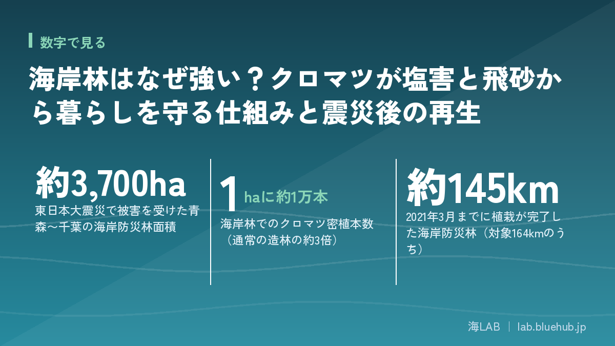 この記事の要点となる3つの数字をまとめた図版