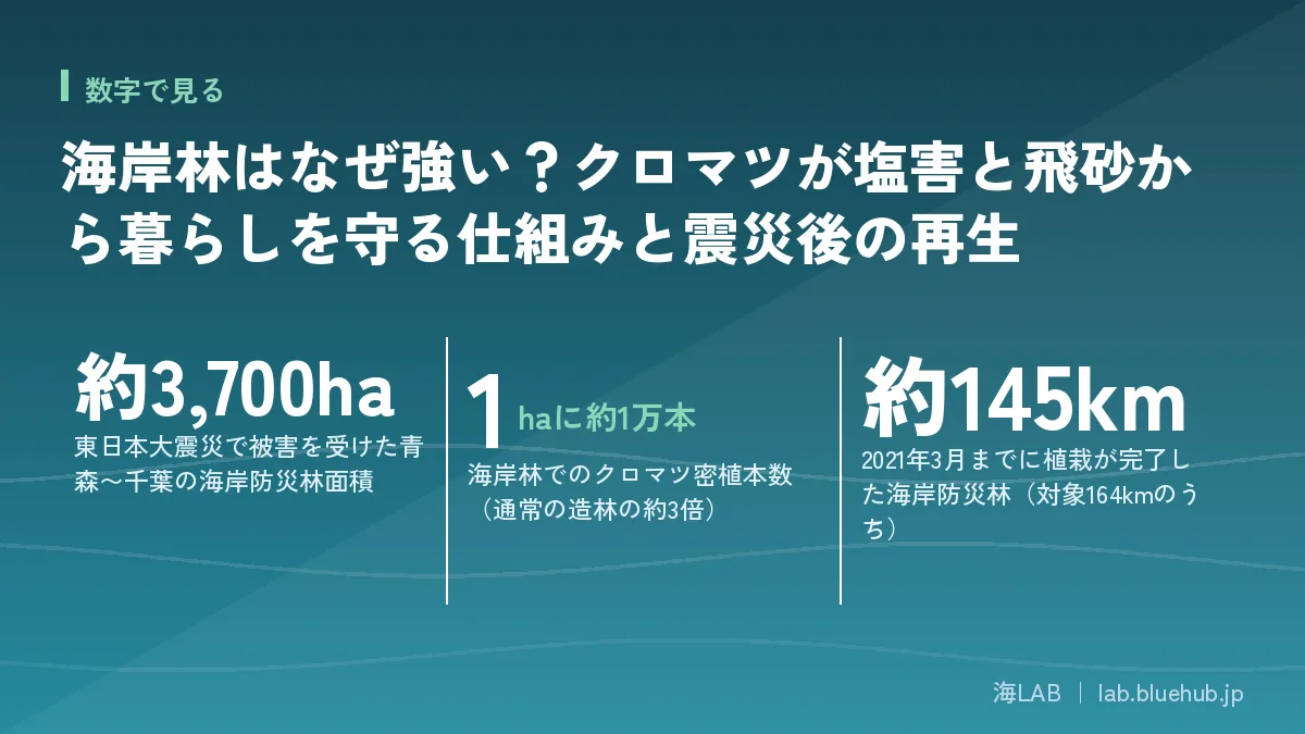 この記事の要点となる3つの数字をまとめた図版