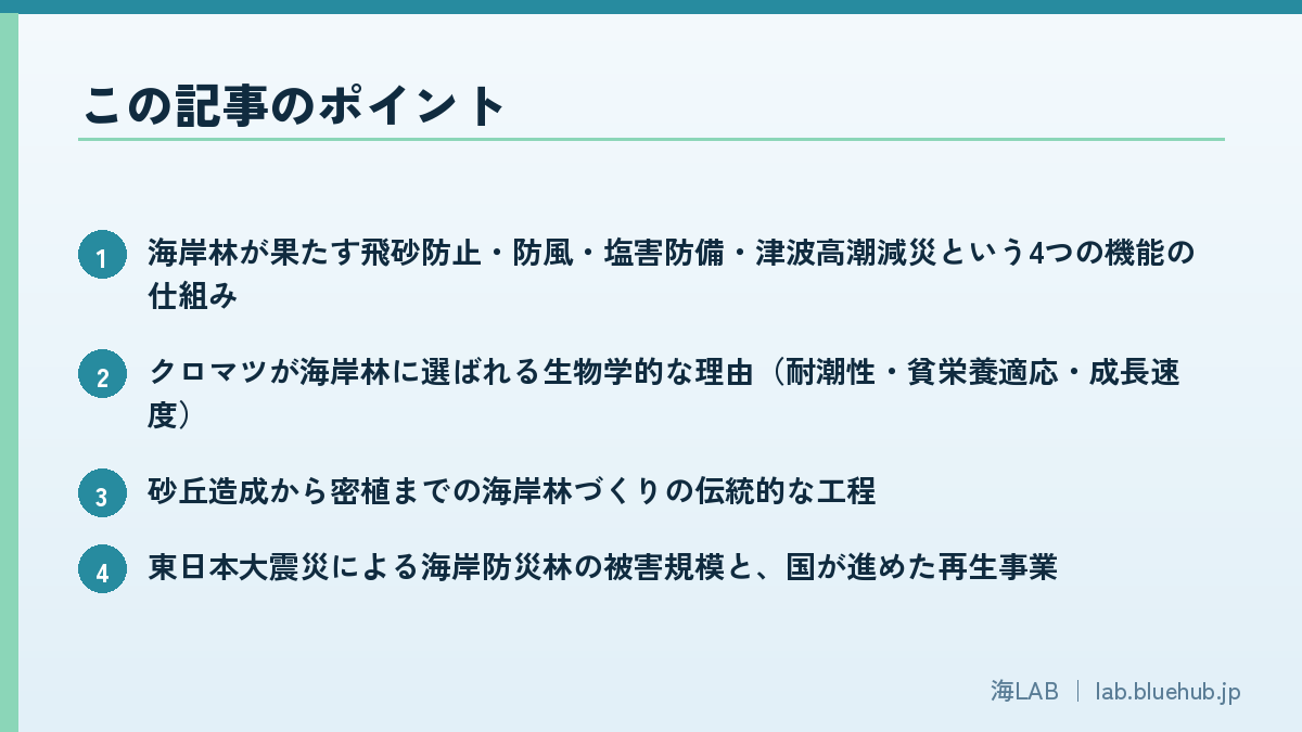 この記事のポイントを箇条書きでまとめた図版