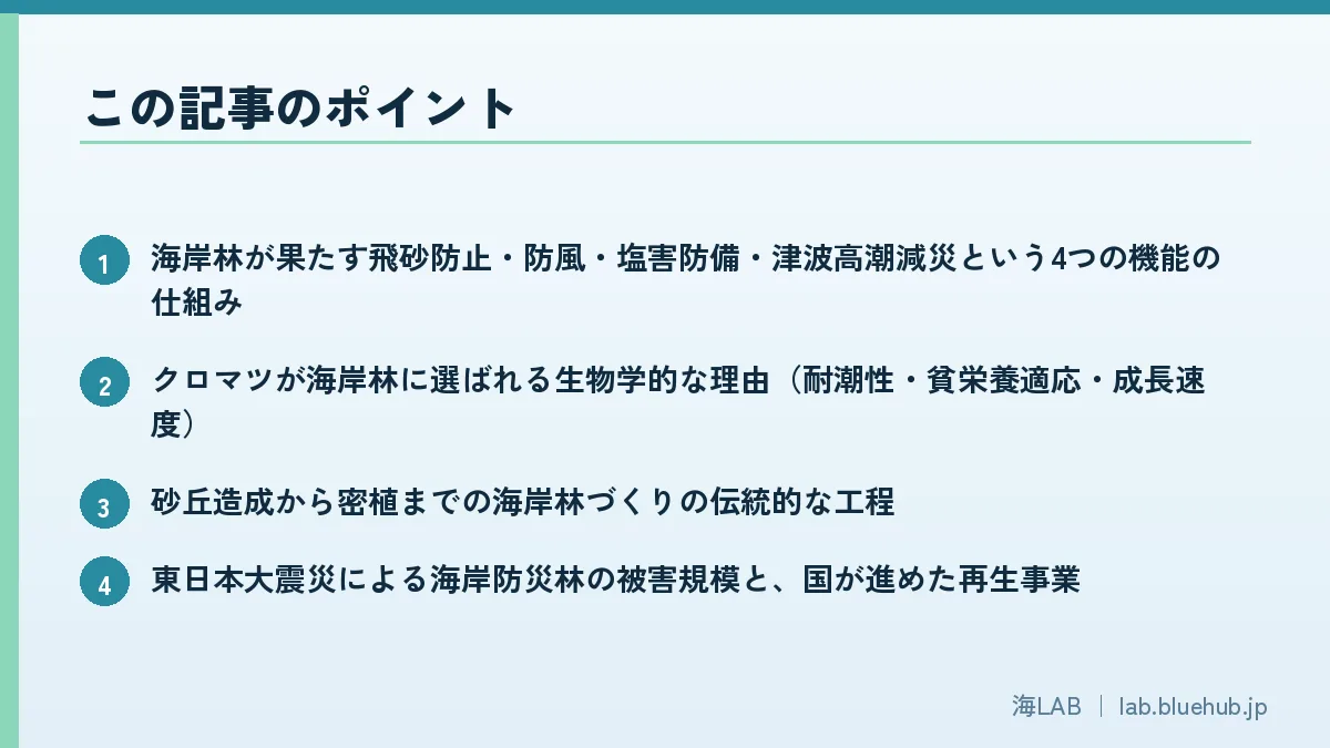 この記事のポイントを箇条書きでまとめた図版